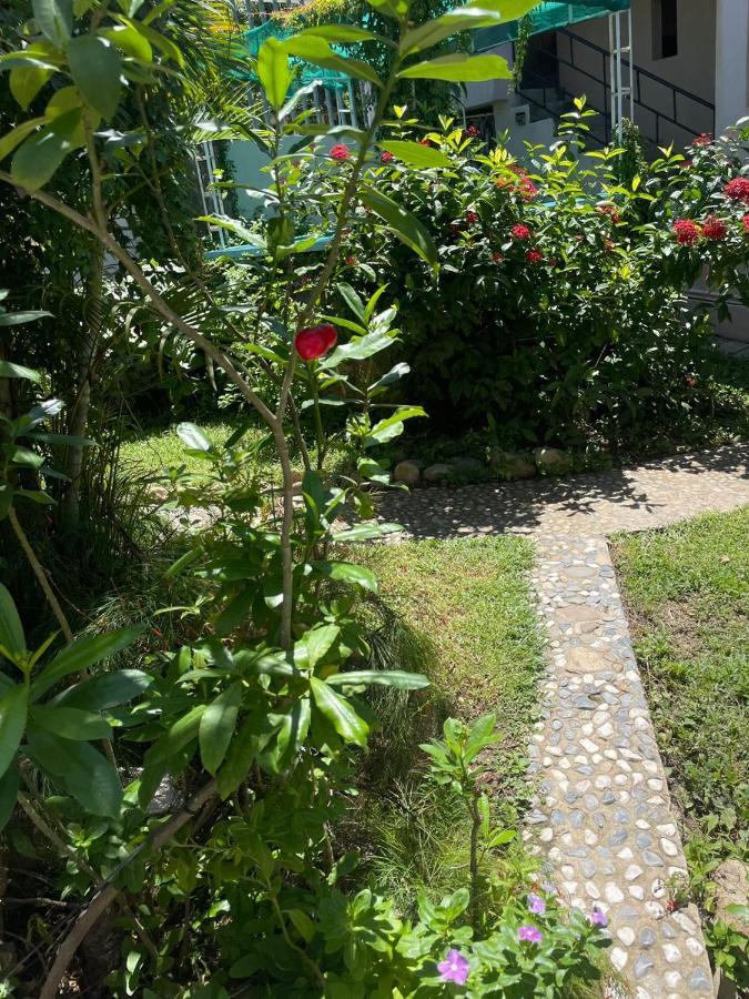 Hotel Bigu Puerto Escondido  Kültér fotó